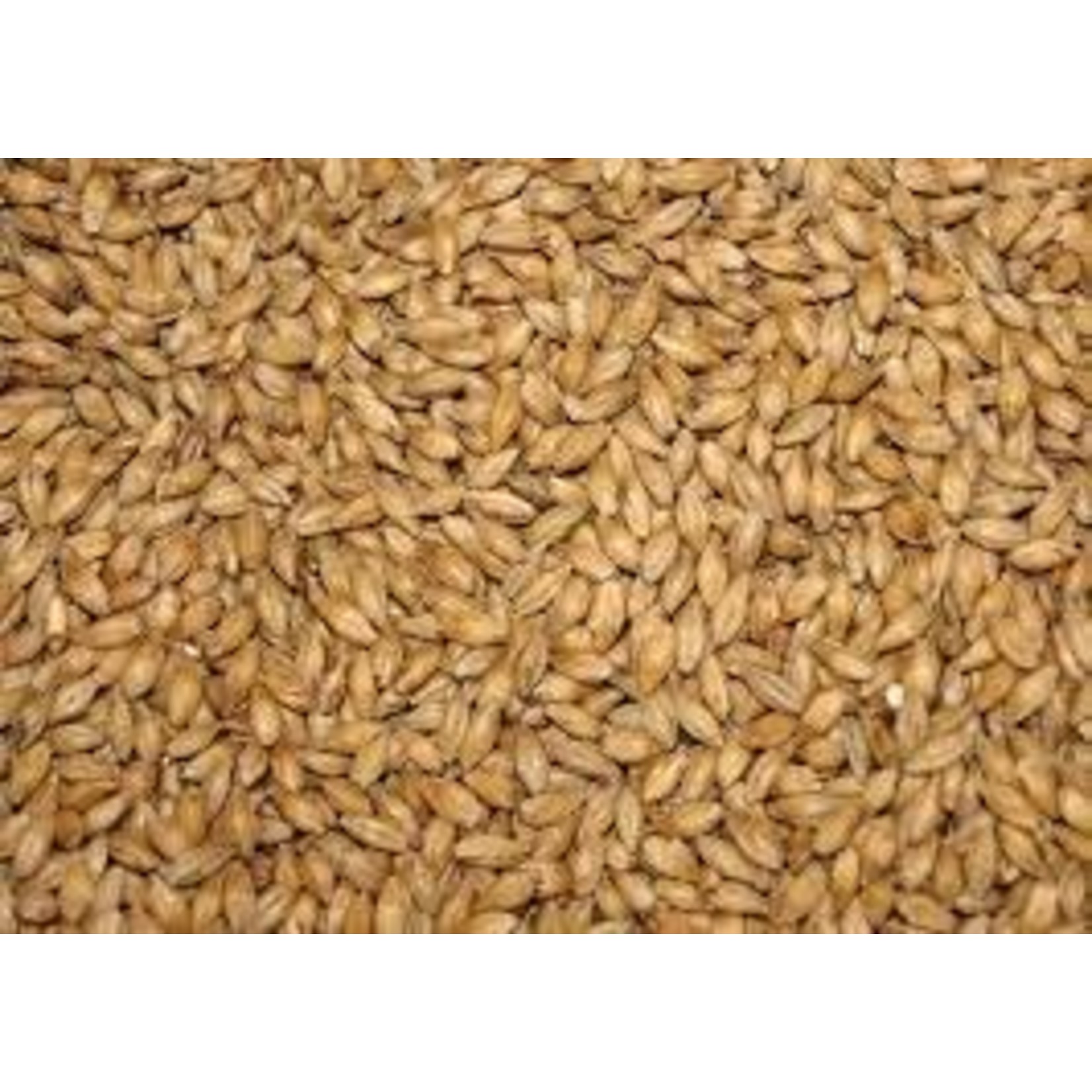 German Red Wheat Malt Per oz Avangard