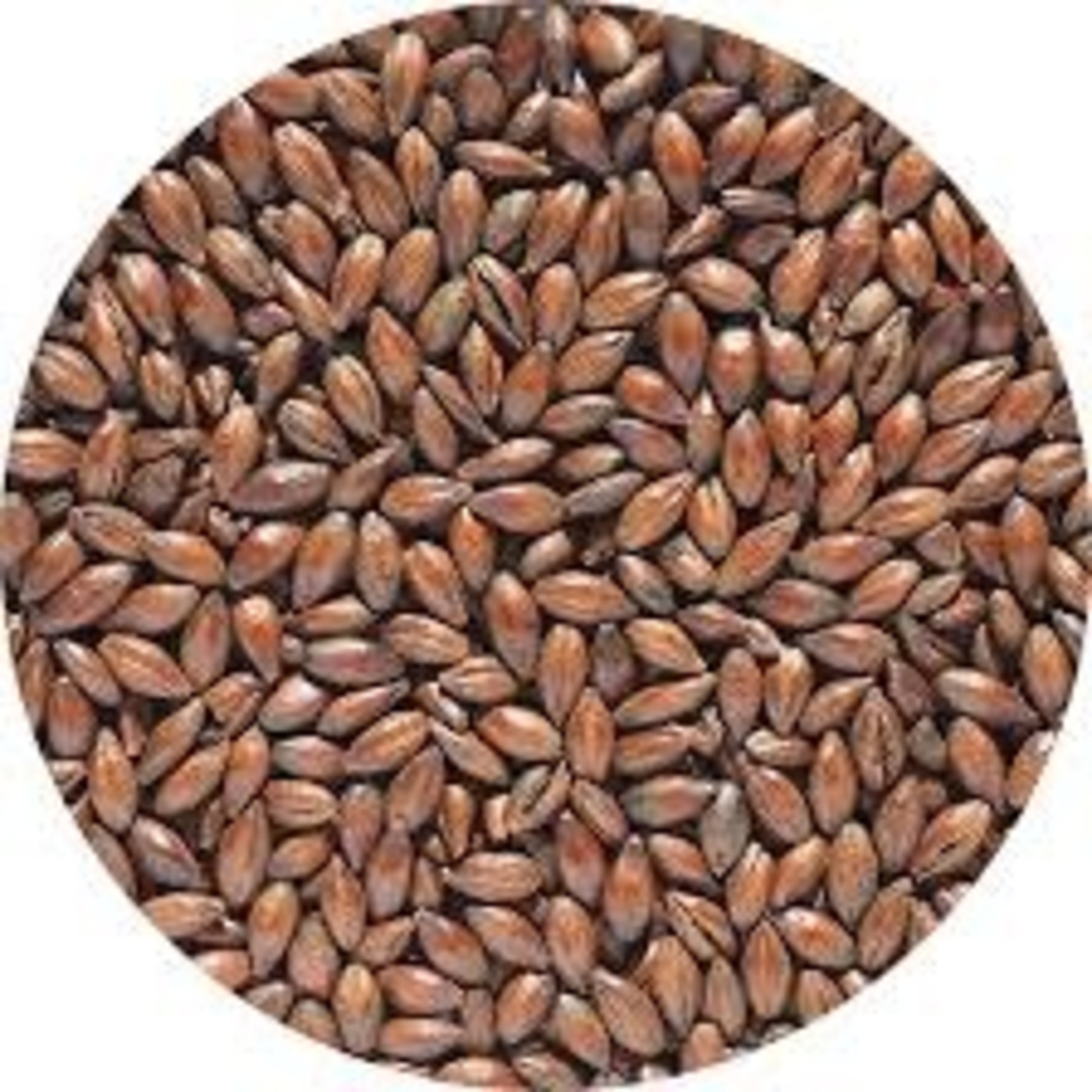 Briess Malting & Ingredient Co. Chocolate Malt 350L Per oz Briess