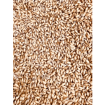 Base Malt