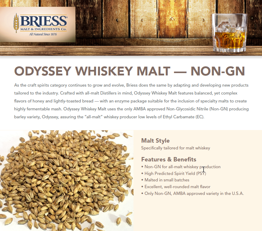 Odyssey Whiskey Malt 