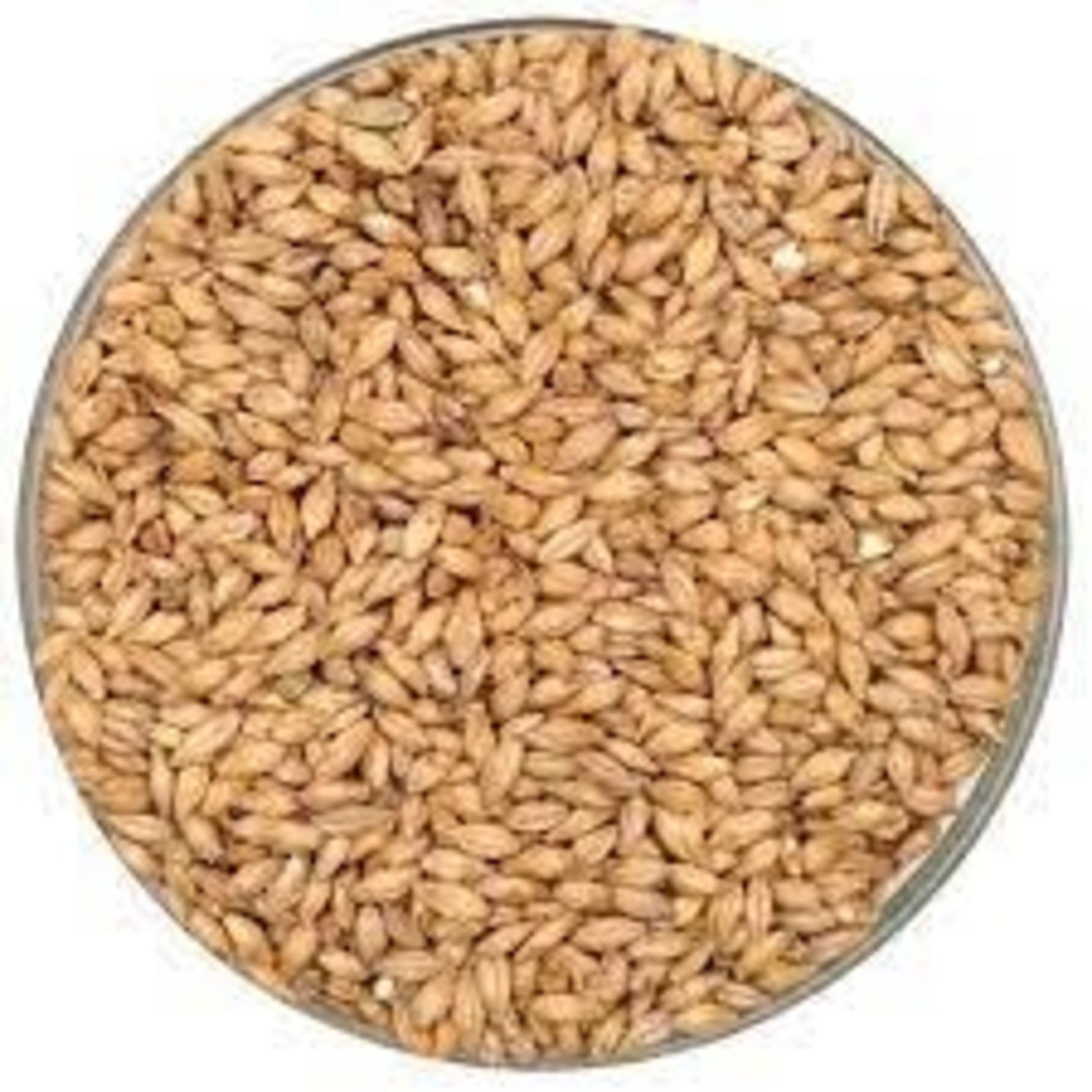 The Swaen Pilsner Malt Per OZ 1.6-2.0 L Swaen