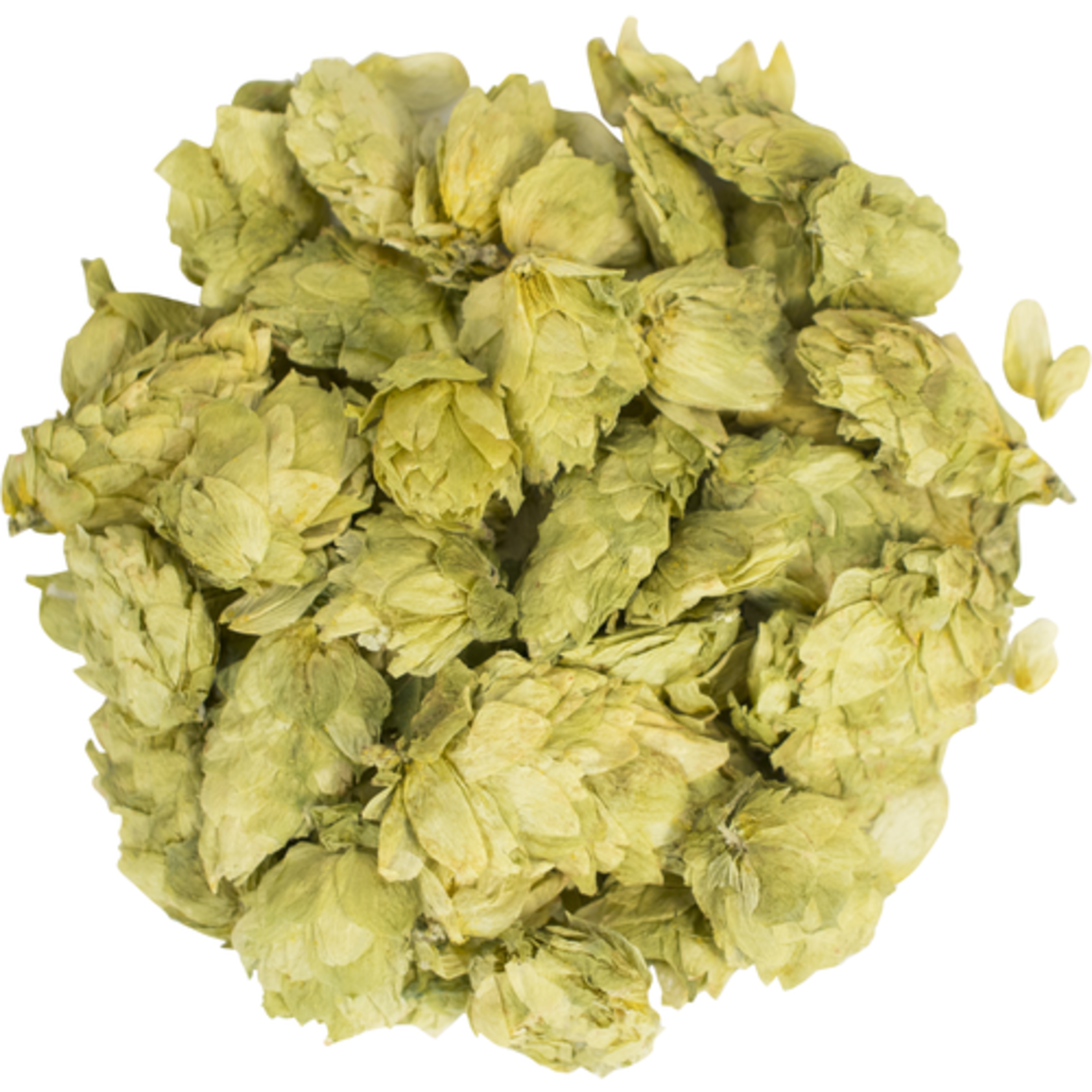 Cascade Hop Whole  2 oz