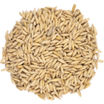 Briess Malting & Ingredient Co. Malted Oats 10 lb