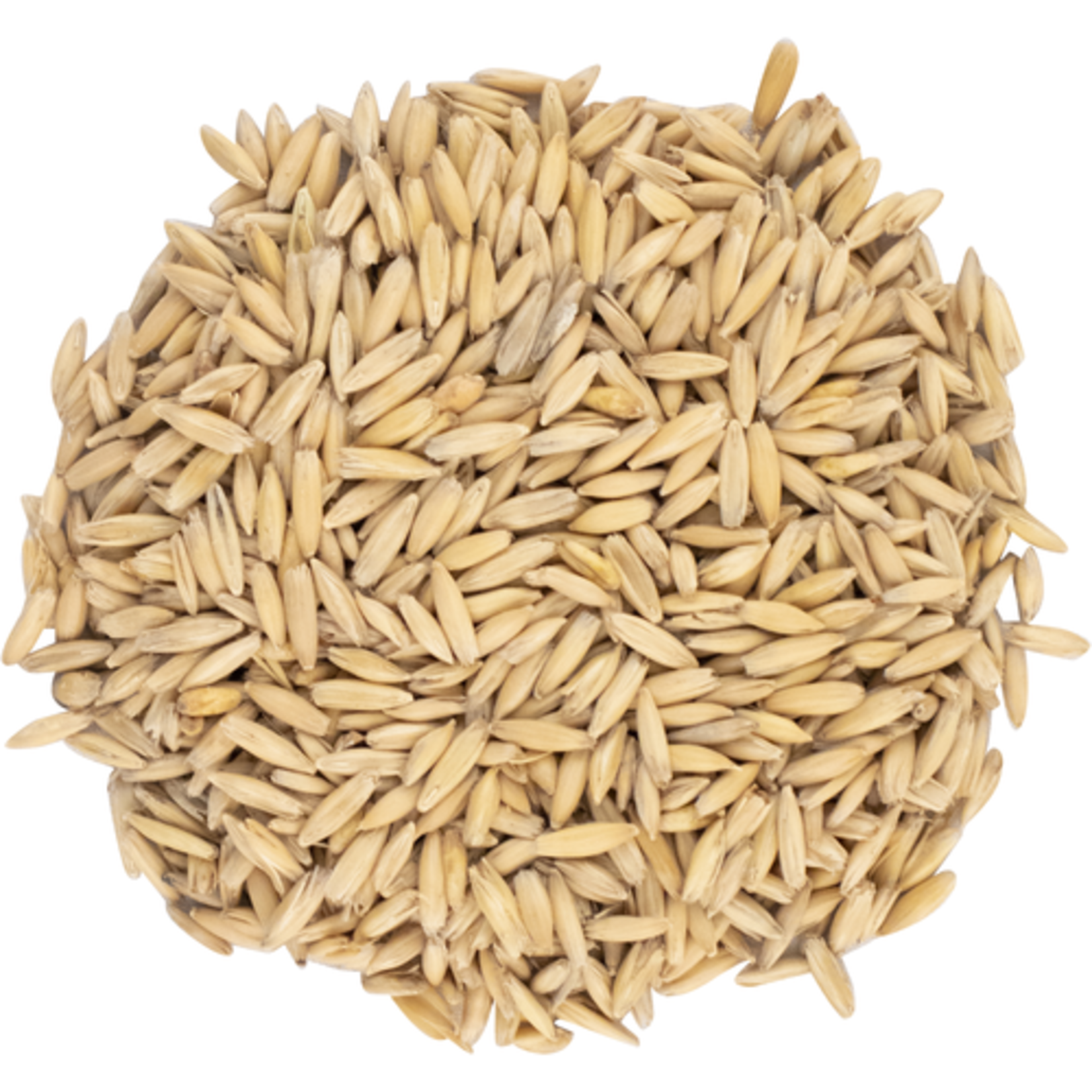 Briess Malting & Ingredient Co. Malted Oats 10 lb
