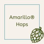 Amarillo® Hops 1 oz