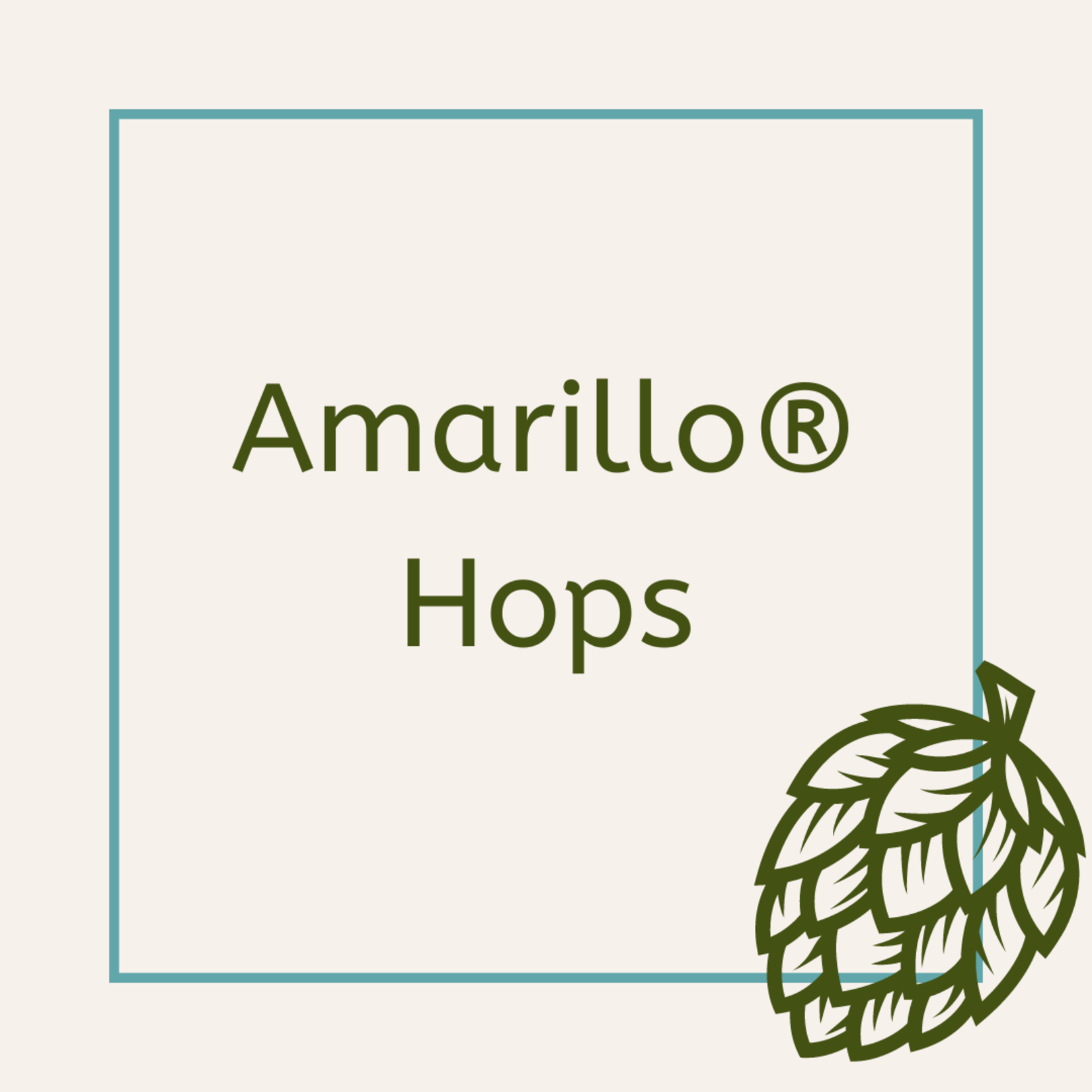 Amarillo® Hops 1 lb