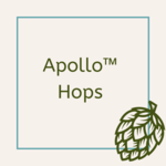Apollo™ Hops 1 oz