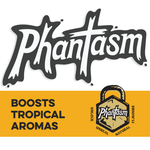 Phantasm Phantasm Thiol Boosting Powder 1oz