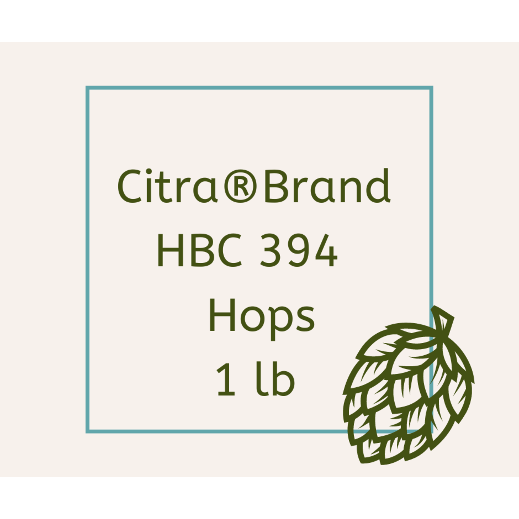 Citra Hops 1 lb