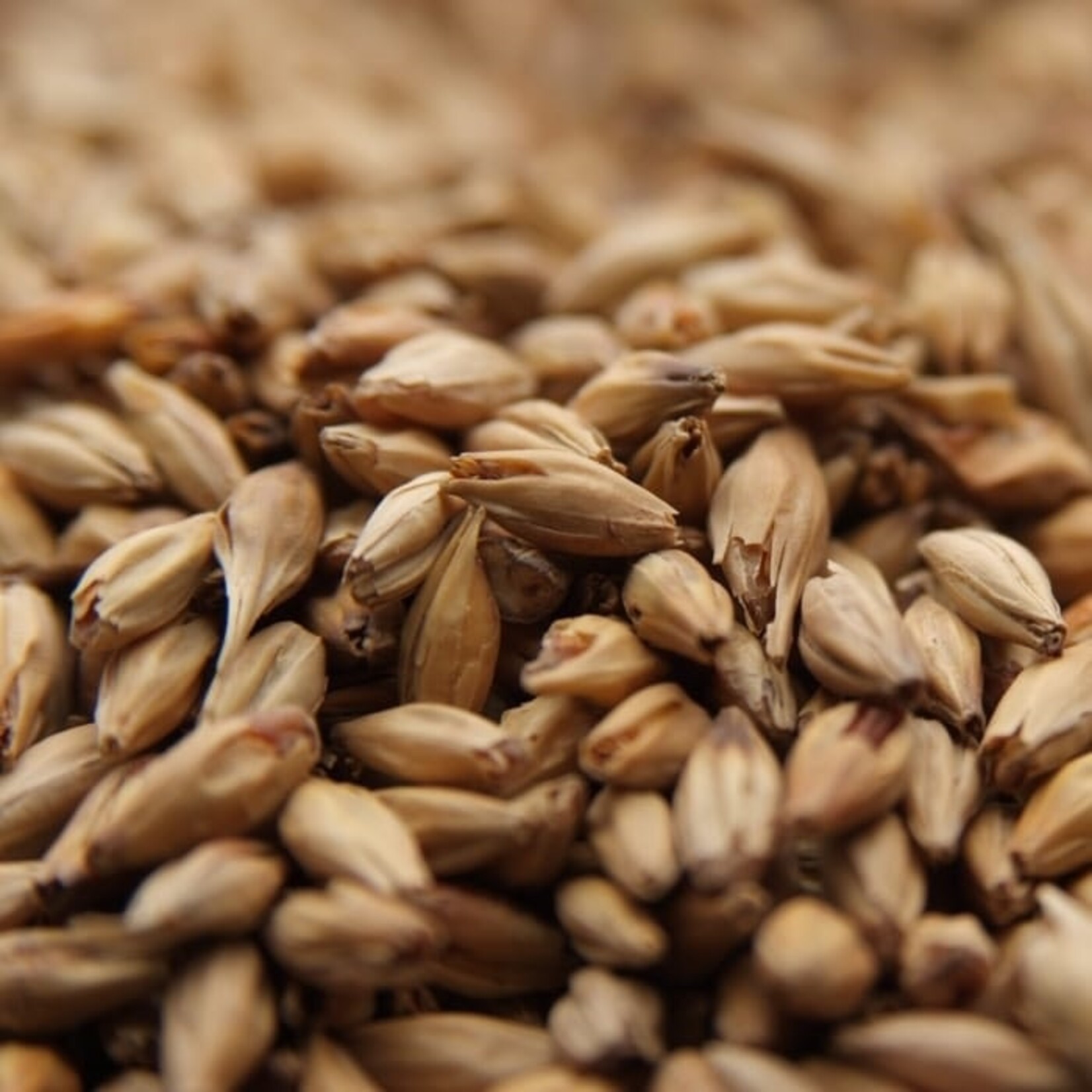 The Swaen Amber Malt Per 15-23L Per oz