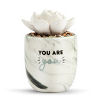 Demdaco Succulent Oil Diffuser - You are You