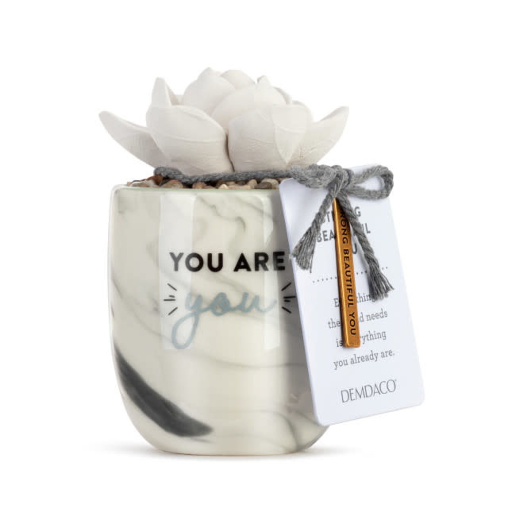 Demdaco Succulent Oil Diffuser - You are You