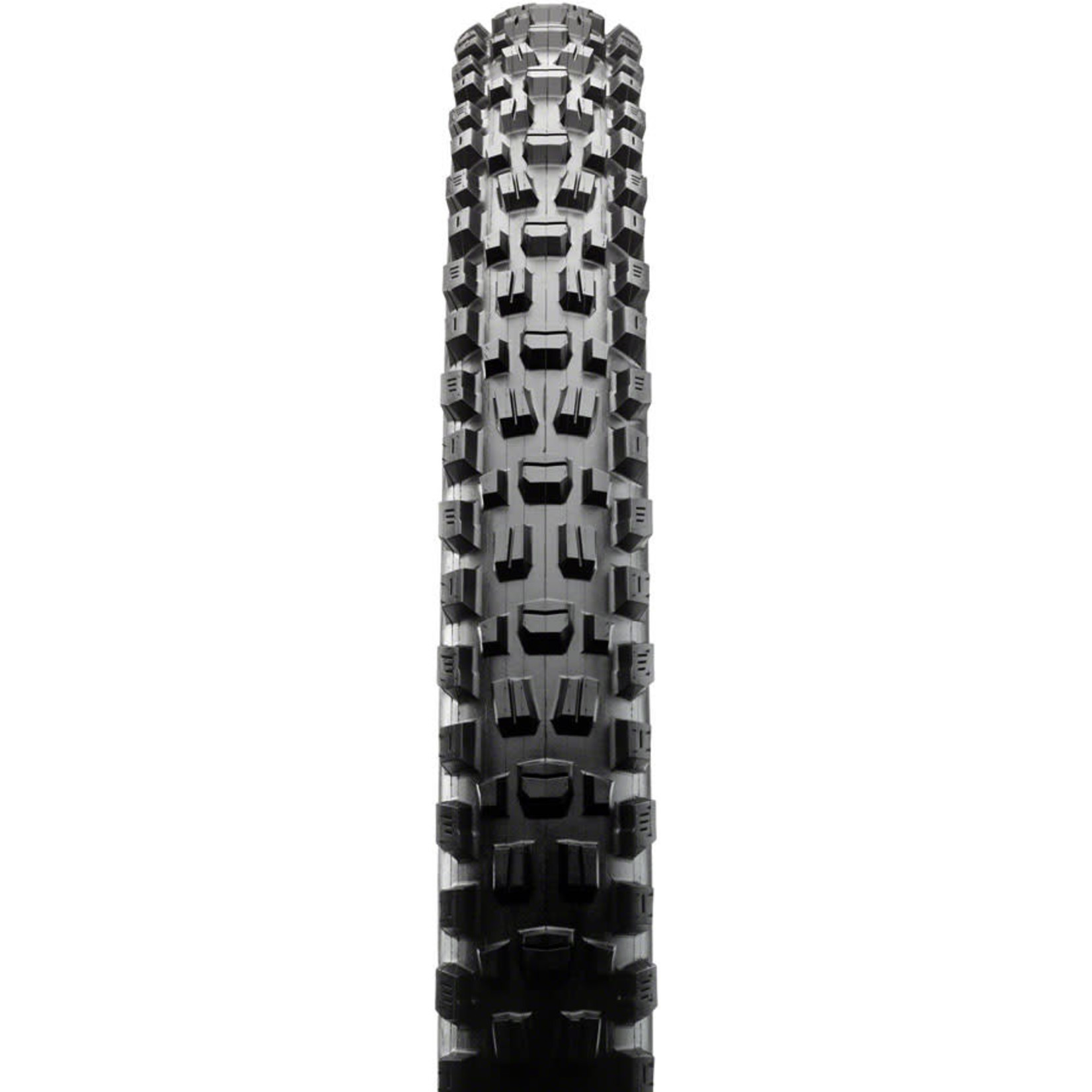 Maxxis Maxxis Assegai Tire, 29x2.5", DC/TR/WT