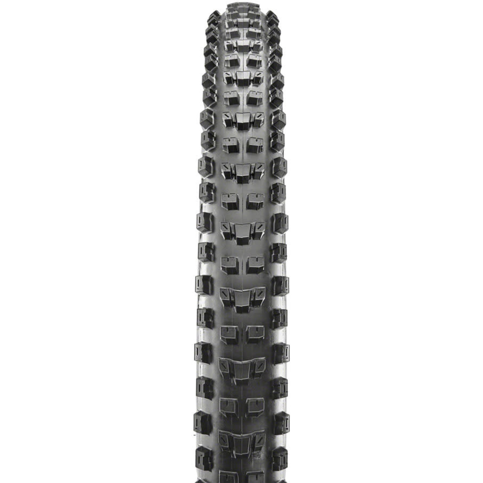 Maxxis Maxxis Dissector Tire, 29x2.4", DC/EXO/TR/WT