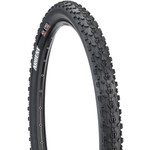 Maxxis Maxxis Ardent Tire, 26x2.4", EXO/TR  NLA