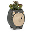 Hedge Your Bets: Tall Grey Hedgehog Planter - 5"H