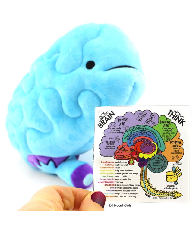Brain Plush - All You Need Is Lobe