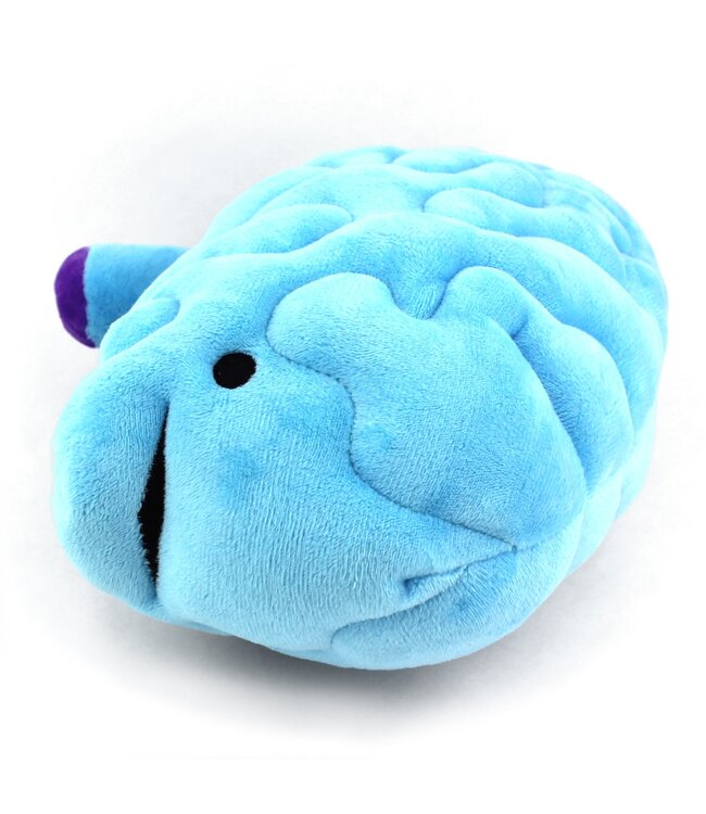 Brain Plush - All You Need Is Lobe