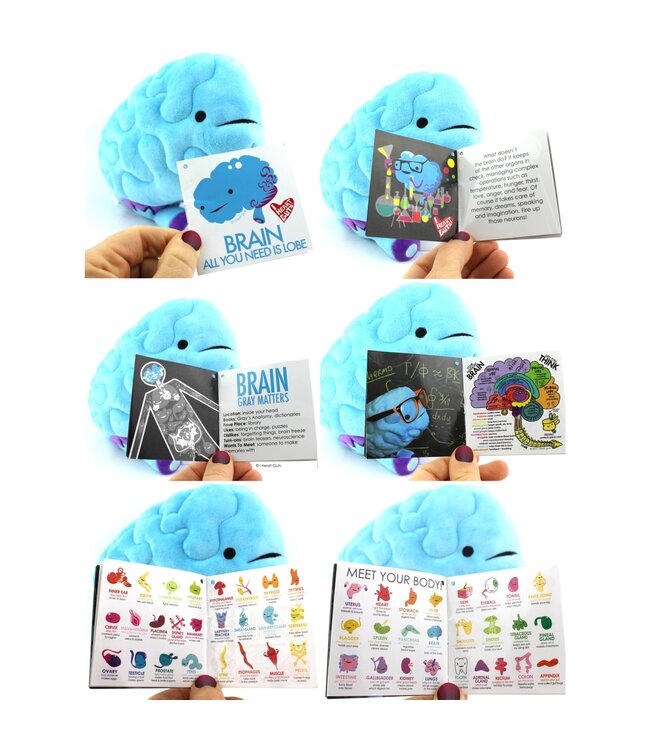Brain Plush - All You Need Is Lobe