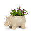 Rhino Shaped Planter - 6"L