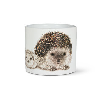 Abbott Small Hedgehog Family Planter - 4.5"
