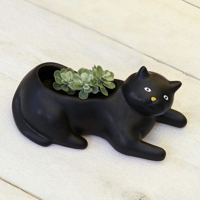 Cosmo's Cat-tastic Planter Purr-fection