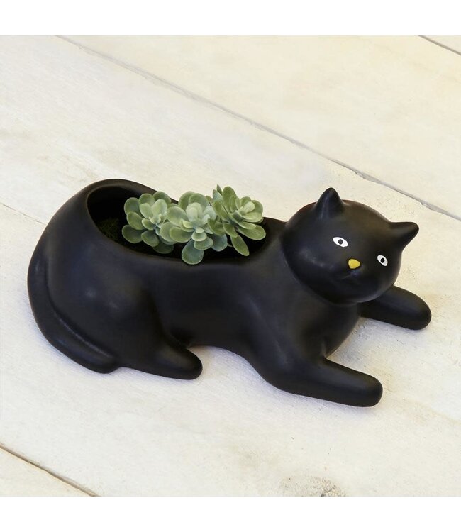 Cosmo the Black Cat Planter