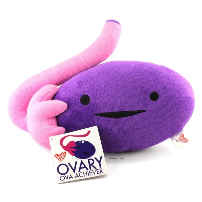 Ovary Educational Plush: Fun Learning!