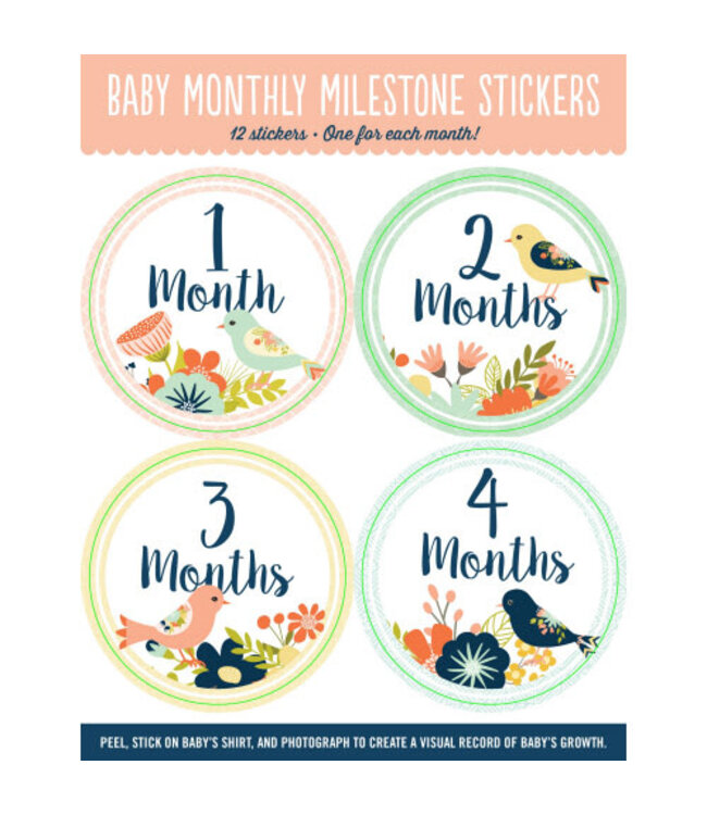 Baby's Monthly Milestone Sticker's