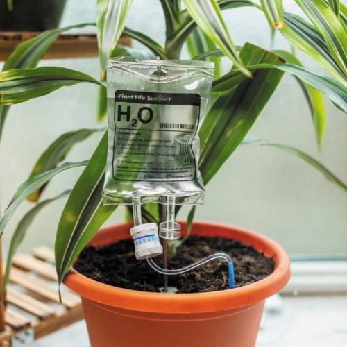 Plant Life Support Watering Accessory