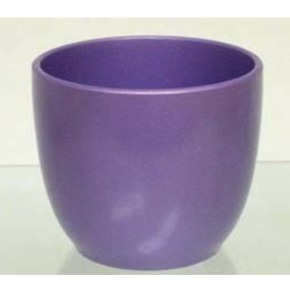 Action Imports Lilac PTD Dolomite Fits 4" Pot