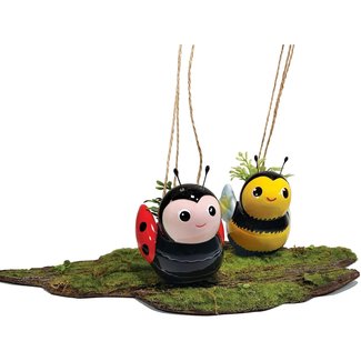 Streamline Mini Bee & Ladybug Hanging Planters