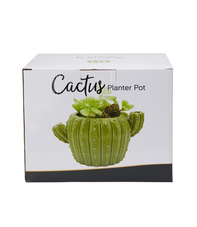 Cactus Planter