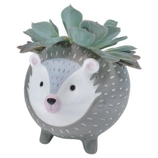 Streamline Woodland Animal Collection-Hedgehog