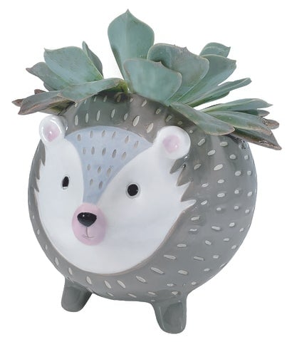 Woodland Animal Collection-Hedghog