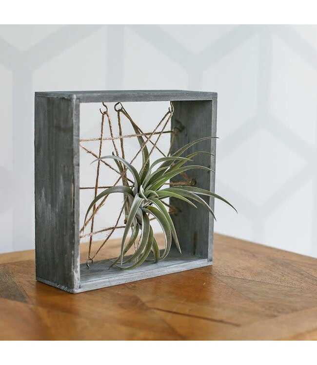 7"SQ White Washed Grey Wooden Air Plant FRAME
