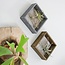 White Washed Grey Wooden Air Plant Frame