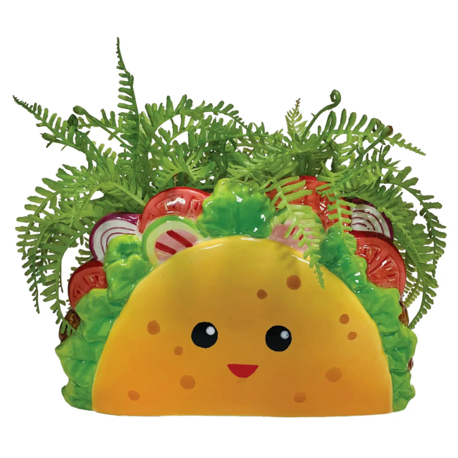 Taco Planter