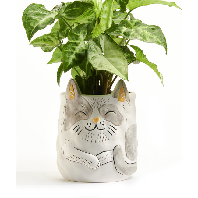 Porcelain Planter Grey Cat