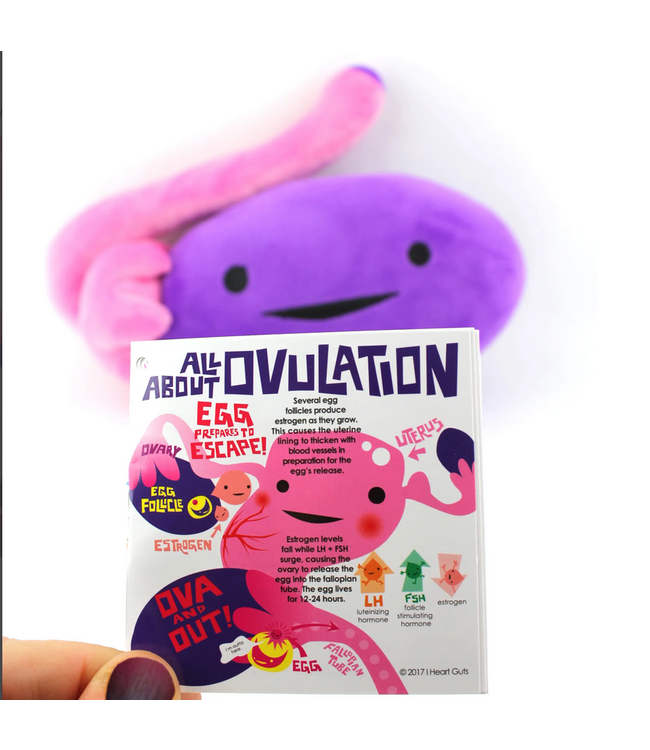 Ovary Educational Plush: Fun Learning!
