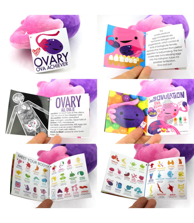 Ovary Educational Plush: Fun Learning!