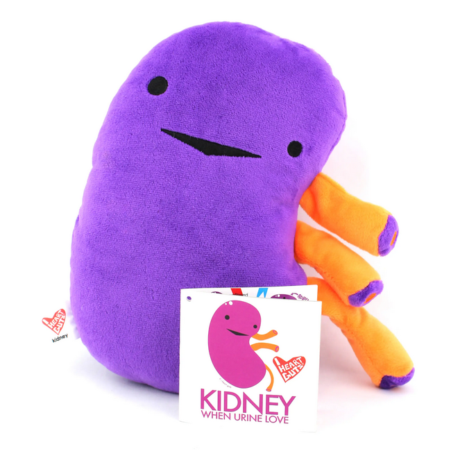 Kidney Plush