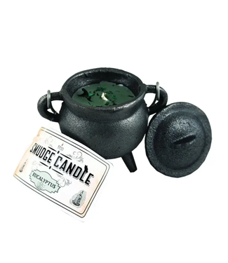 Designs by Deekay Inc. Eucalyptus Smudge Candle in 4" Cast Iron Cauldron