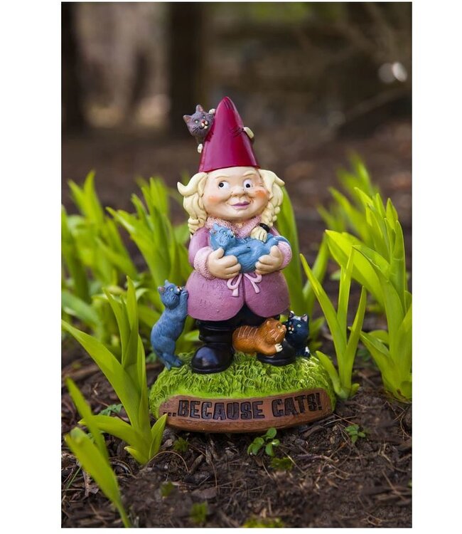 Crazy Cat Lady Gnome: Pawsitively Adorable!