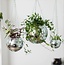 Disco Ball Hanging Planter 4"
