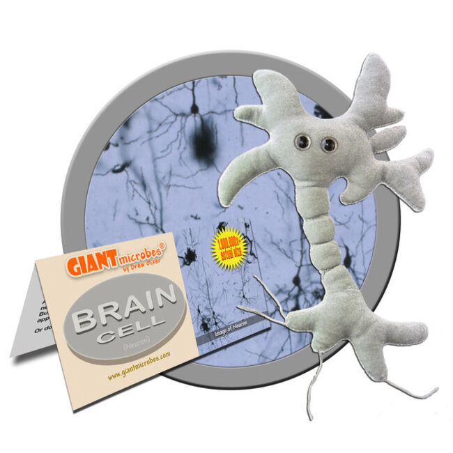 Think Big: Cuddle Your Brain Cells!