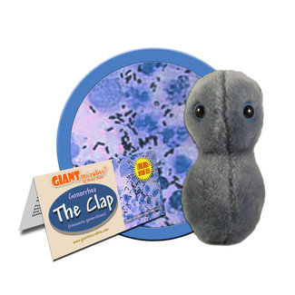 Giant Microbes Clap - Gonorrhea (Neisseria Gonorrhoeae)