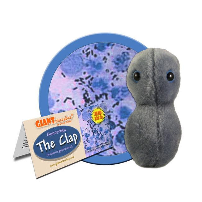 GIANT MIcrobes - Gonorrhea - Clap