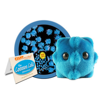 Giant Microbes GIANT Microbes - The Common Cold