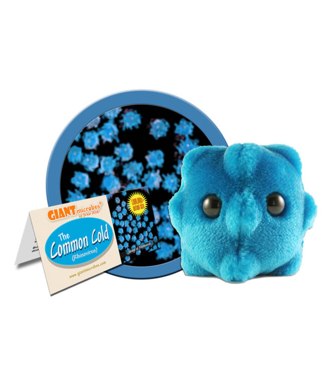 GIANT Microbes - The Common Cold